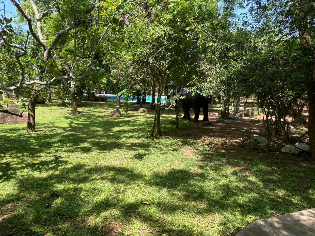 Hotel Elephant Reach Yala Exterior foto